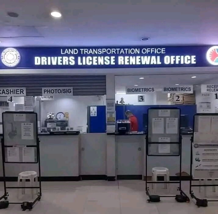 our services