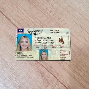 Wyoming Driver License